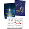 ICR Creation Christmas Cards (Set of 12)