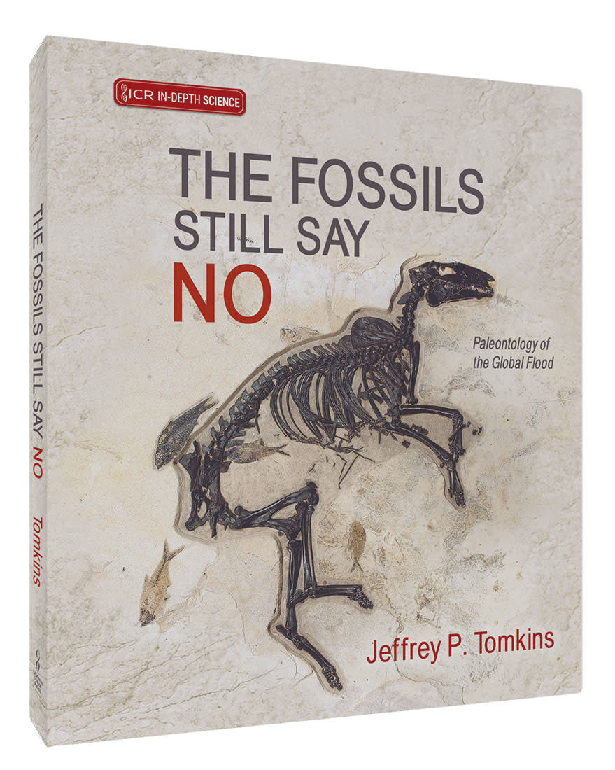 Bone Up on Your Fossils