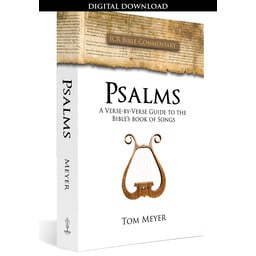 Mr. Tom Meyer Psalms: A Verse-by-Verse Guide - ebook
