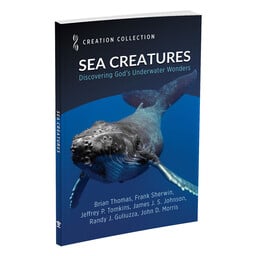 Sea Creatures: Discovering God’s Underwater Wonders
