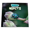 God Created Insects