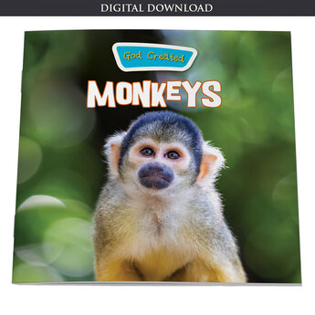 God Created Monkeys - eBook