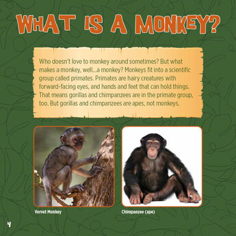 God Created Monkeys - eBook