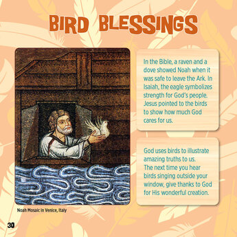 God Created Birds - eBook