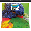 God Created Birds - eBook