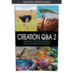 Creation Q&A 2 - eBook