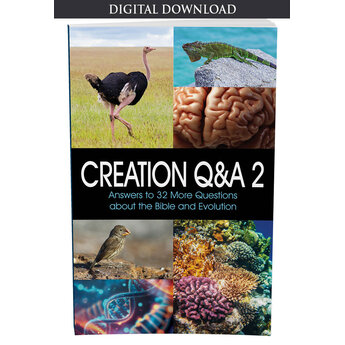 Creation Q&A 2 - eBook