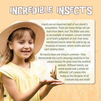God Created Insects - Download