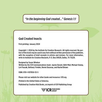 God Created Insects - Download