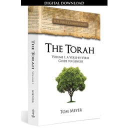 Mr. Tom Meyer The Torah, Volume 1: A Verse-by-Verse Guide to Genesis - eBook