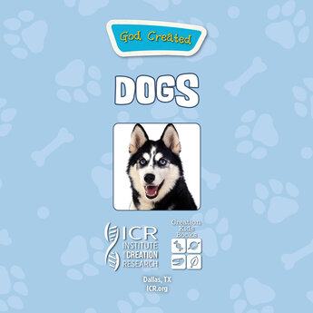 God Created Dogs