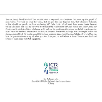 ICR Christmas Cards Jim Zarbaugh (Set of 12)