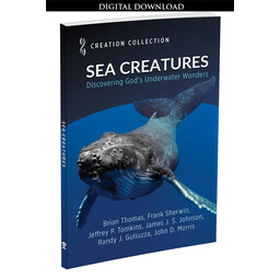 Sea Creatures: Discovering God’s Underwater Wonders - eBook