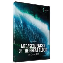 Dr. Timothy Clarey Megasequences of the Great Flood