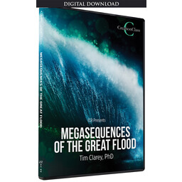 Dr. Timothy Clarey Megasequences of the Great Flood - Download
