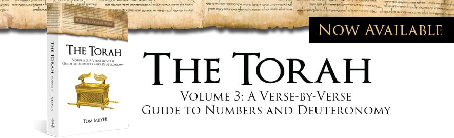 Torah 3