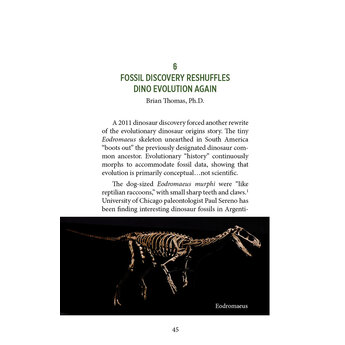 T. rex: Fascinating Facts, Fiction, and Fossils