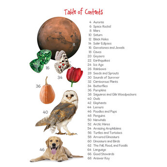 Creation Kids Activity Book 2