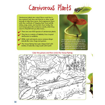 Creation Kids Activity Book 2