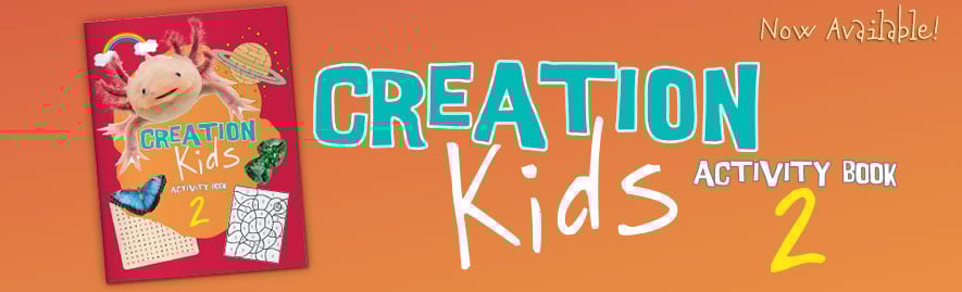 Creation Kids 2