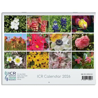 ICR 2026 Calendar