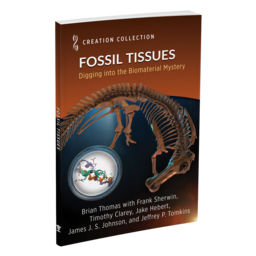Fossil Tissues: Digging into the Biomaterial Mystery