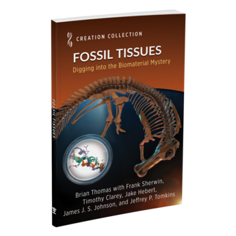 Fossil Tissues: Digging into the Biomaterial Mystery