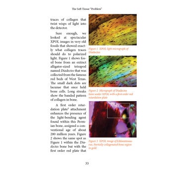 Fossil Tissues: Digging into the Biomaterial Mystery