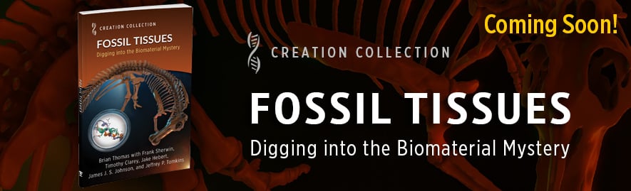 Fossil Tissues