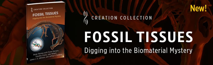 Fossil Tissues