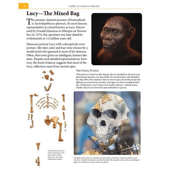 Dr. Brian Thomas Guide to Human Origins