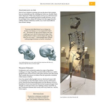 Dr. Brian Thomas Guide to Human Origins