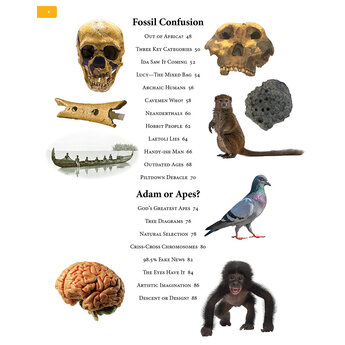 Dr. Brian Thomas Guide to Human Origins