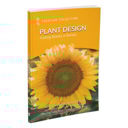 Plant Design: Finding Beauty in Botany