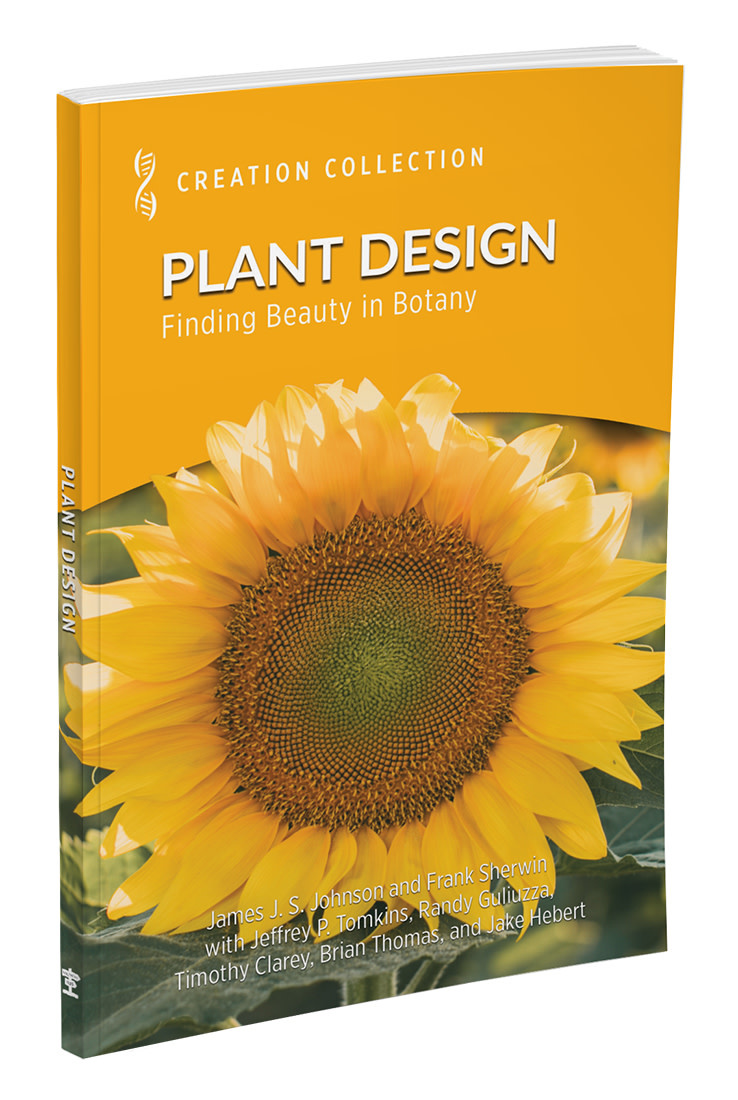 Plant Design: Finding Beauty in Botany - Institute for Creation Research