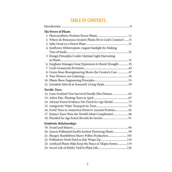 Plant Design: Finding Beauty in Botany