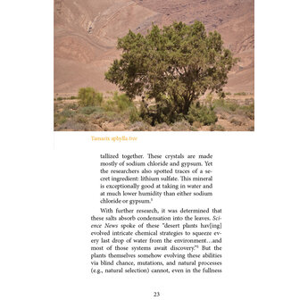 Plant Design: Finding Beauty in Botany