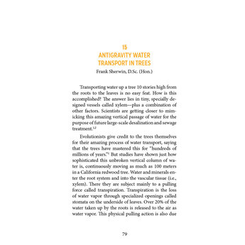 Plant Design: Finding Beauty in Botany