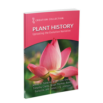 Plant History: Uprooting the Evolution Narrative