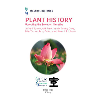 Plant History: Uprooting the Evolution Narrative