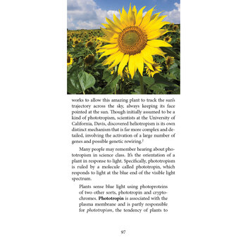 Plant History: Uprooting the Evolution Narrative