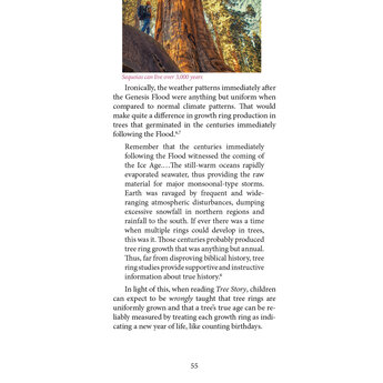 Plant History: Uprooting the Evolution Narrative