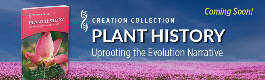 Plant History