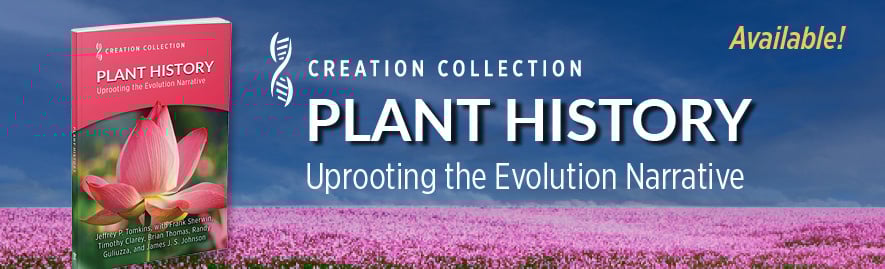 Plant History