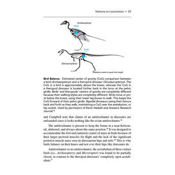 If It Walks Like a Bird: 10 Myths Busted About Birds and Dinosaurs