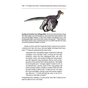 If It Walks Like a Bird: 10 Myths Busted About Birds and Dinosaurs