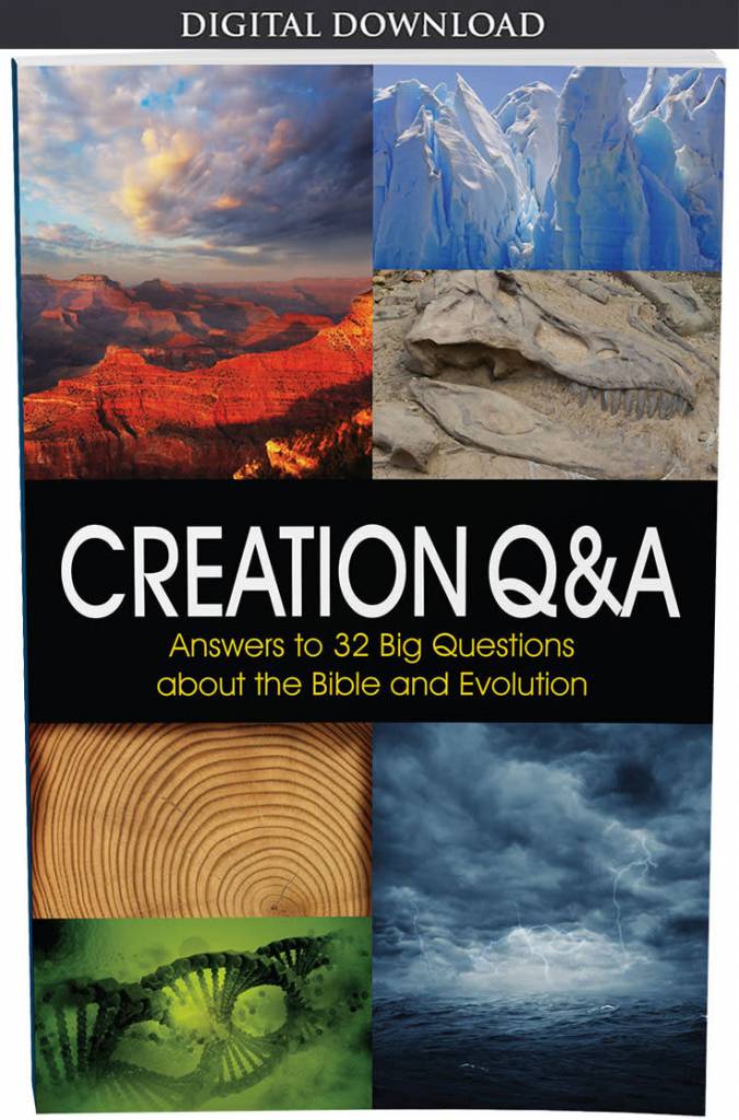 Q creator. Q creator
