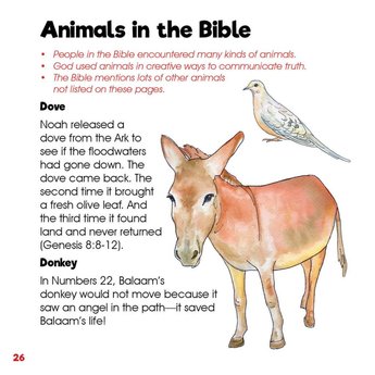 Animals by Design: Exploring Unique Creature Features - eBook