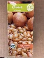 Onion sets, Stuttgarter, 100 qty Boxed