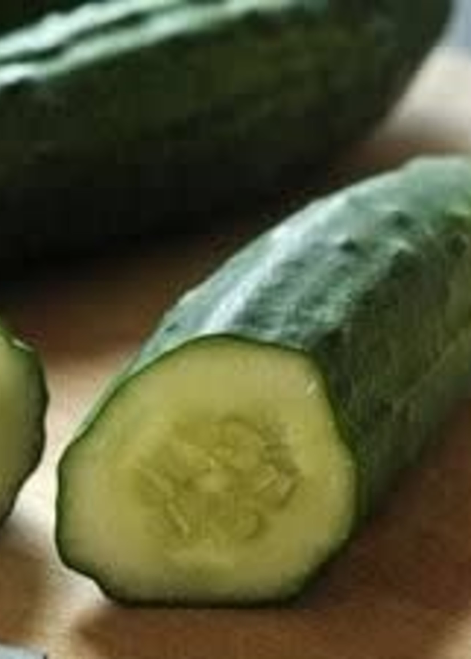 Cucumber, Patio Vegetable, 4.5" pot